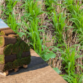 Do Sod Farms Use Chemicals Safely?