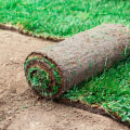 When is the Best Time to Lay Sod: Spring or Fall?